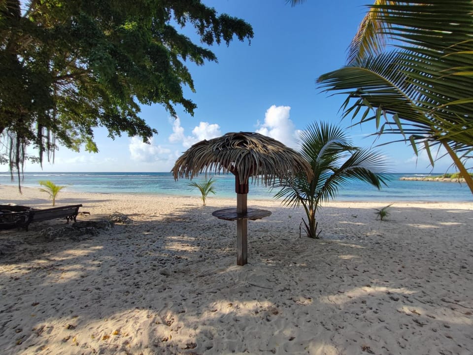 Studio Kawane Anse des rochers 303 RDC, côté mer Apartment in Grande-Terre, Guadeloupe