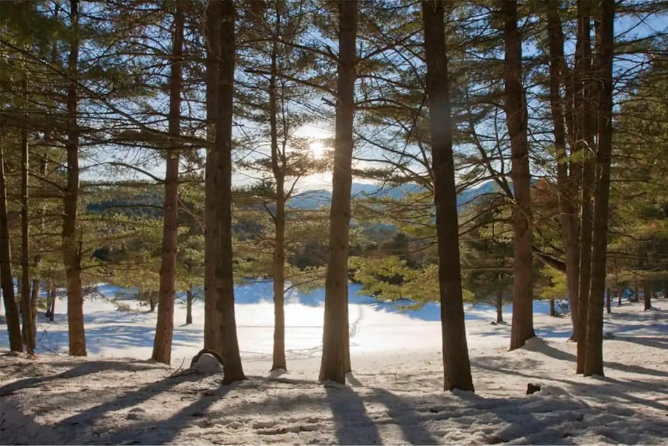 Natural landscape, Winter