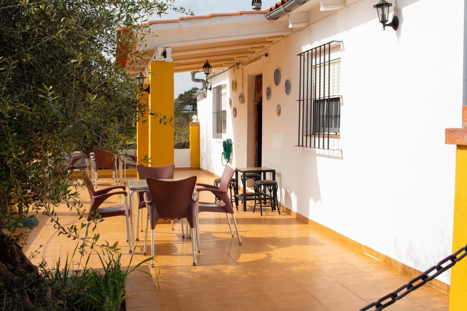 Patio, Day, Dining area