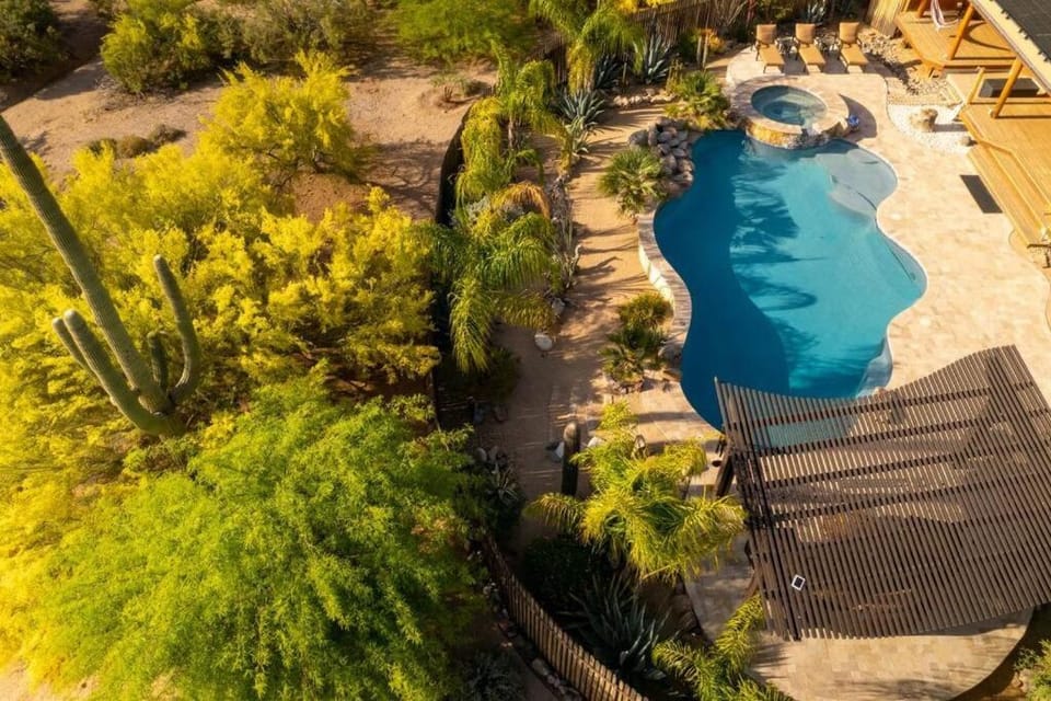 Day, Garden, Garden view, Pool view, Swimming pool, sunbed