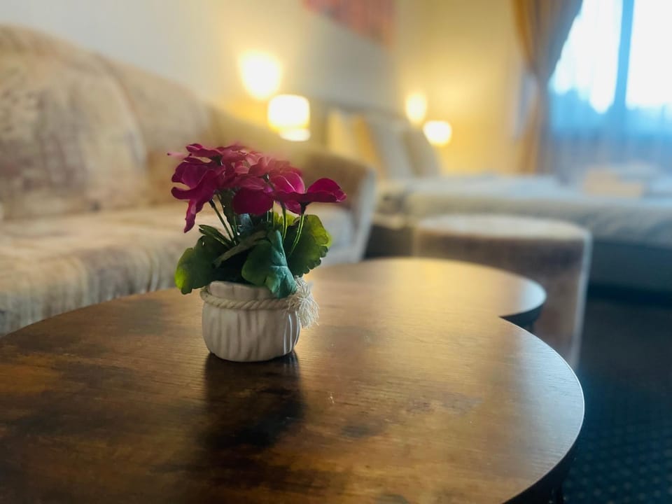 Bóris House Bed and Breakfast in Blagoevgrad Province