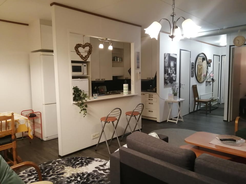 Rivitalokaksio Jäppilässä Apartment in Finland