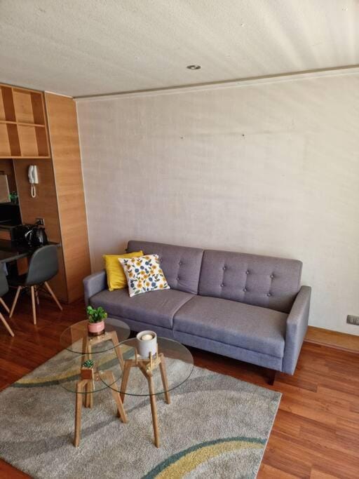 Dpto Metro Pedro de Valdivia, Costanera Center Apartment in Providencia
