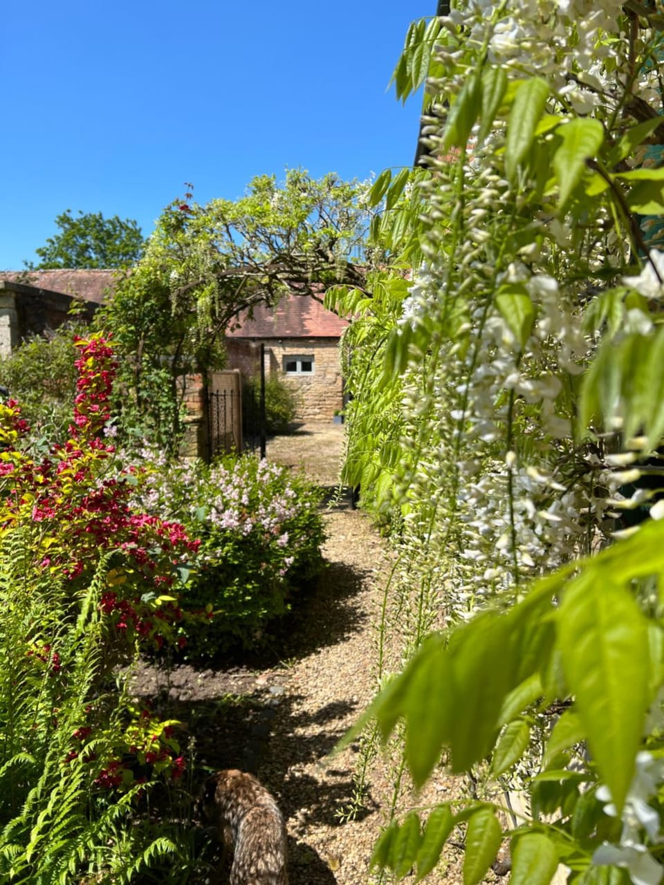 Property building, Spring, Day, Garden, Garden view