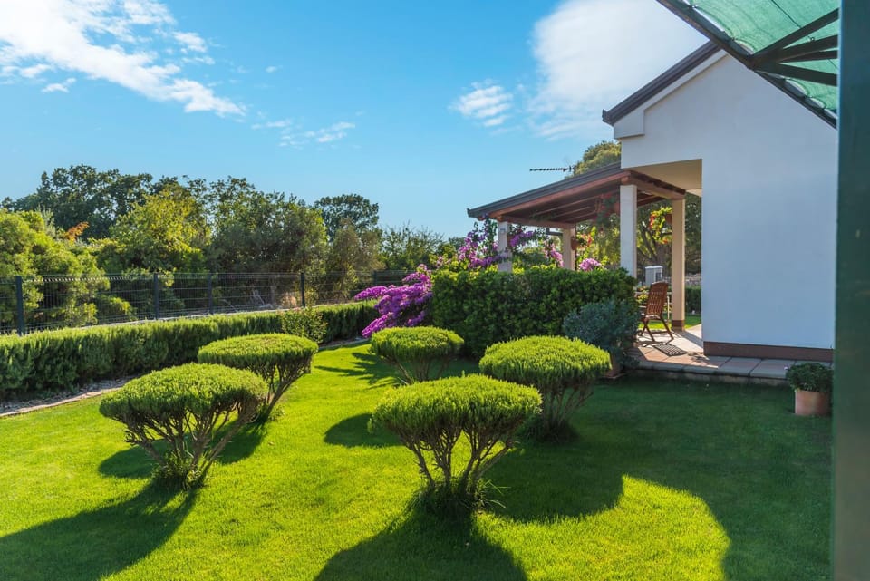 Property building, Garden