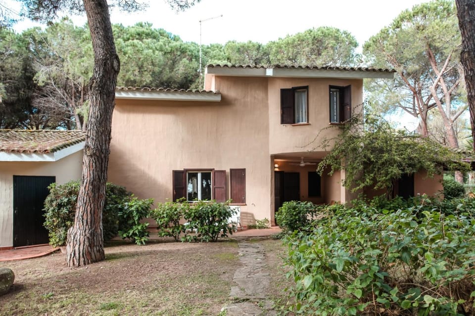 Property building, Garden, Garden view