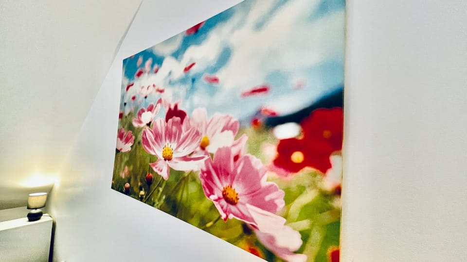 Kerhos - appartement vue mer Apartment in Finistere