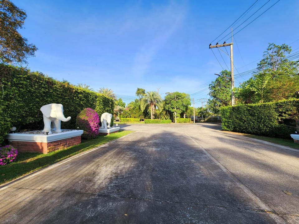 Garden, Garden view, Street view