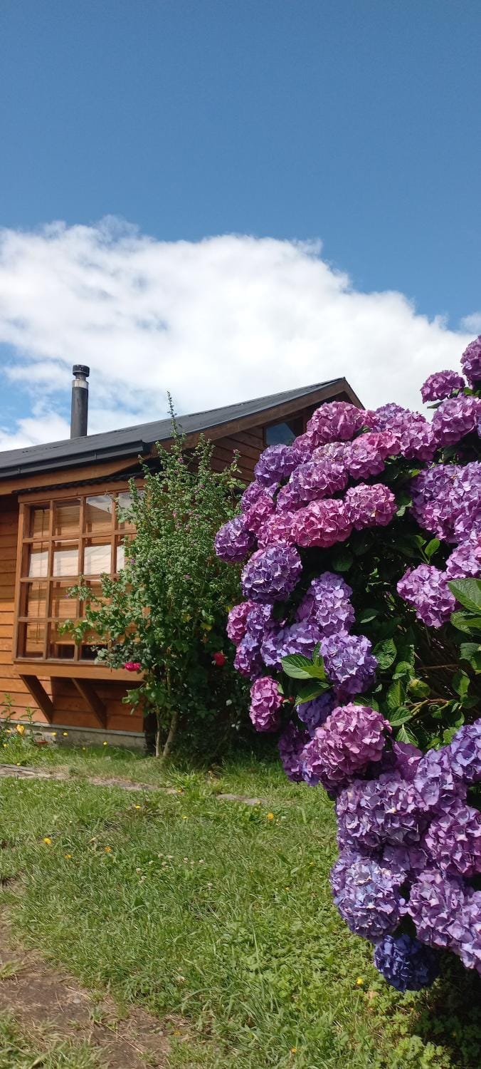 Cabaña céntrica Pucón House in Pucon