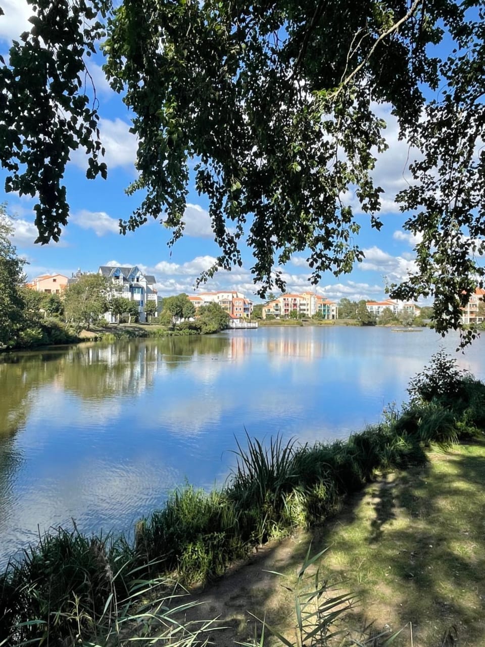 Lake view