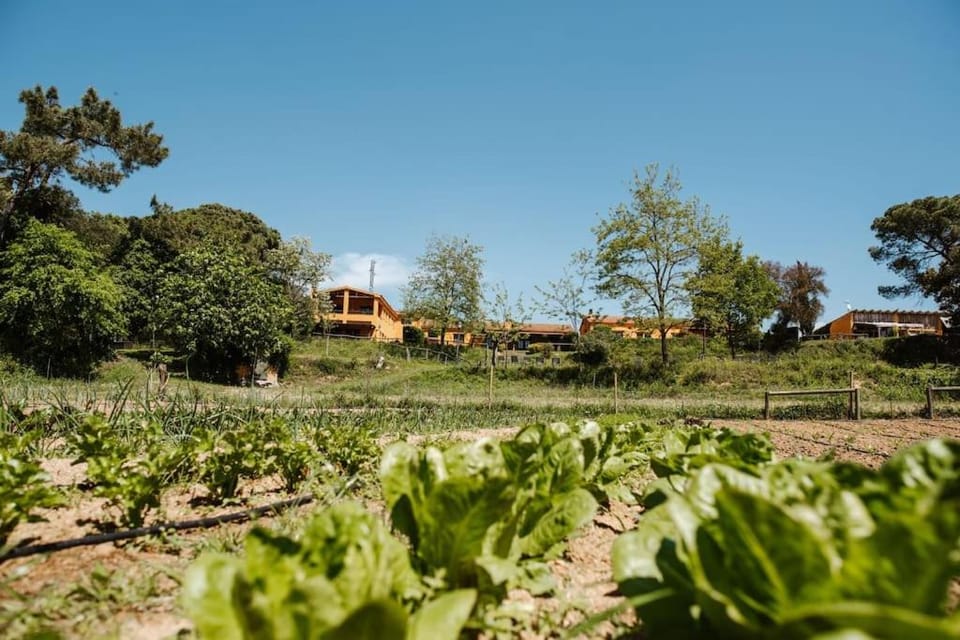 Casa rural en el campo LAS DALIAS House in Maresme
