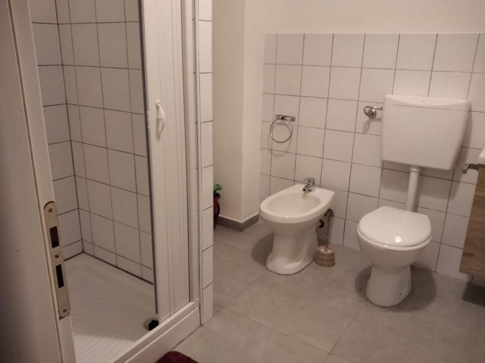 Shower, Toilet, Bathroom, bidet