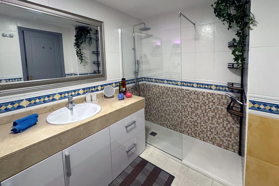 Shower, Bathroom, Photo of the whole room, acessibility