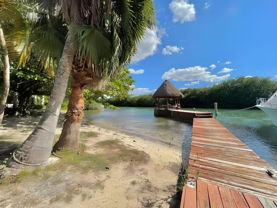 Lake view