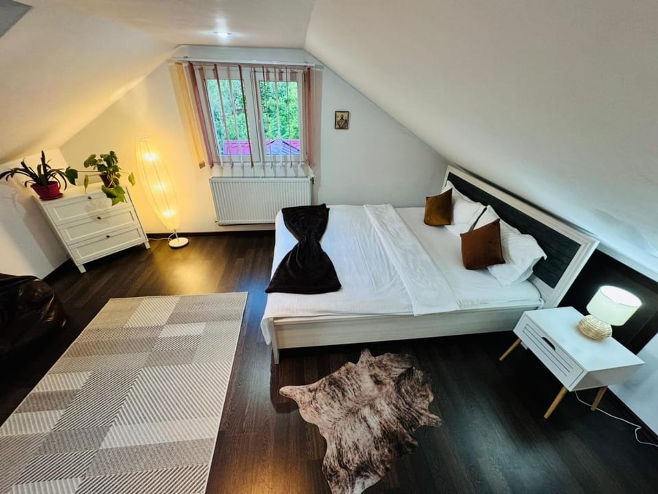 River Apartment Apartment in Sinaia