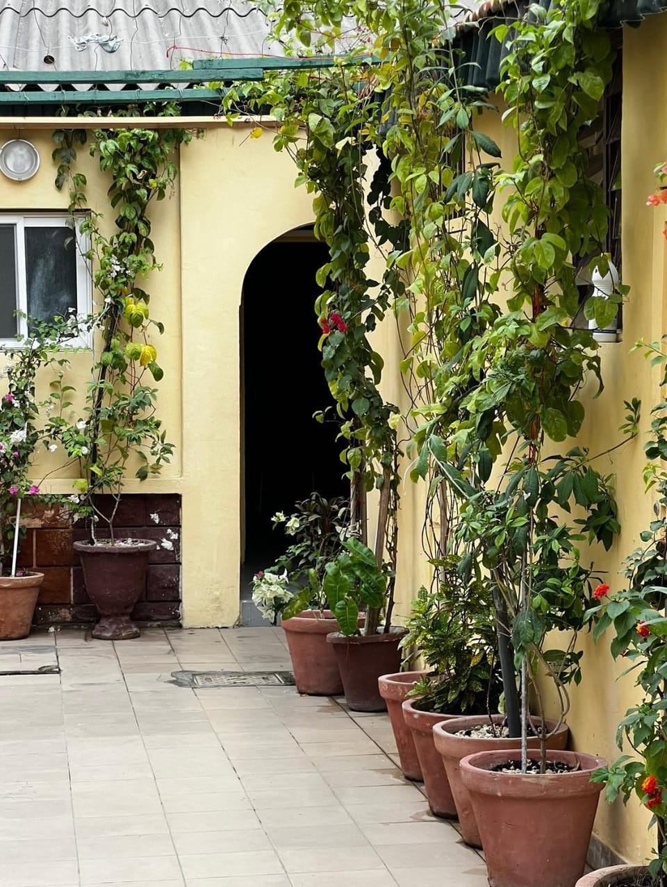 Day, Garden, Garden view