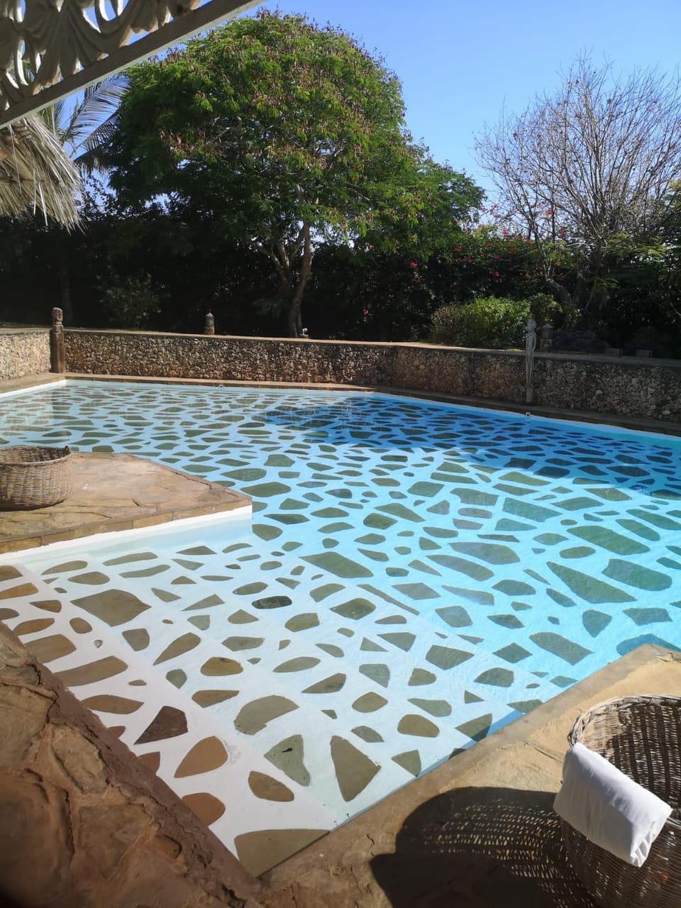 Garden, Swimming pool