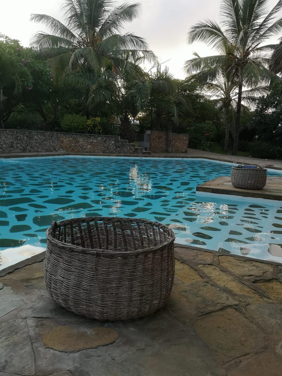 Garden, Swimming pool