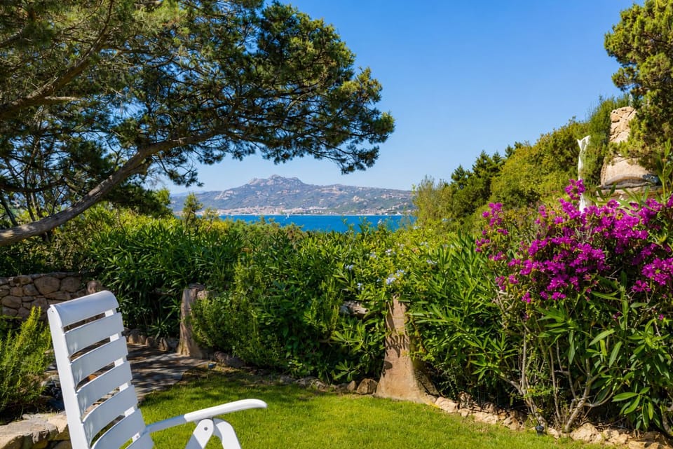 Garden, Sea view