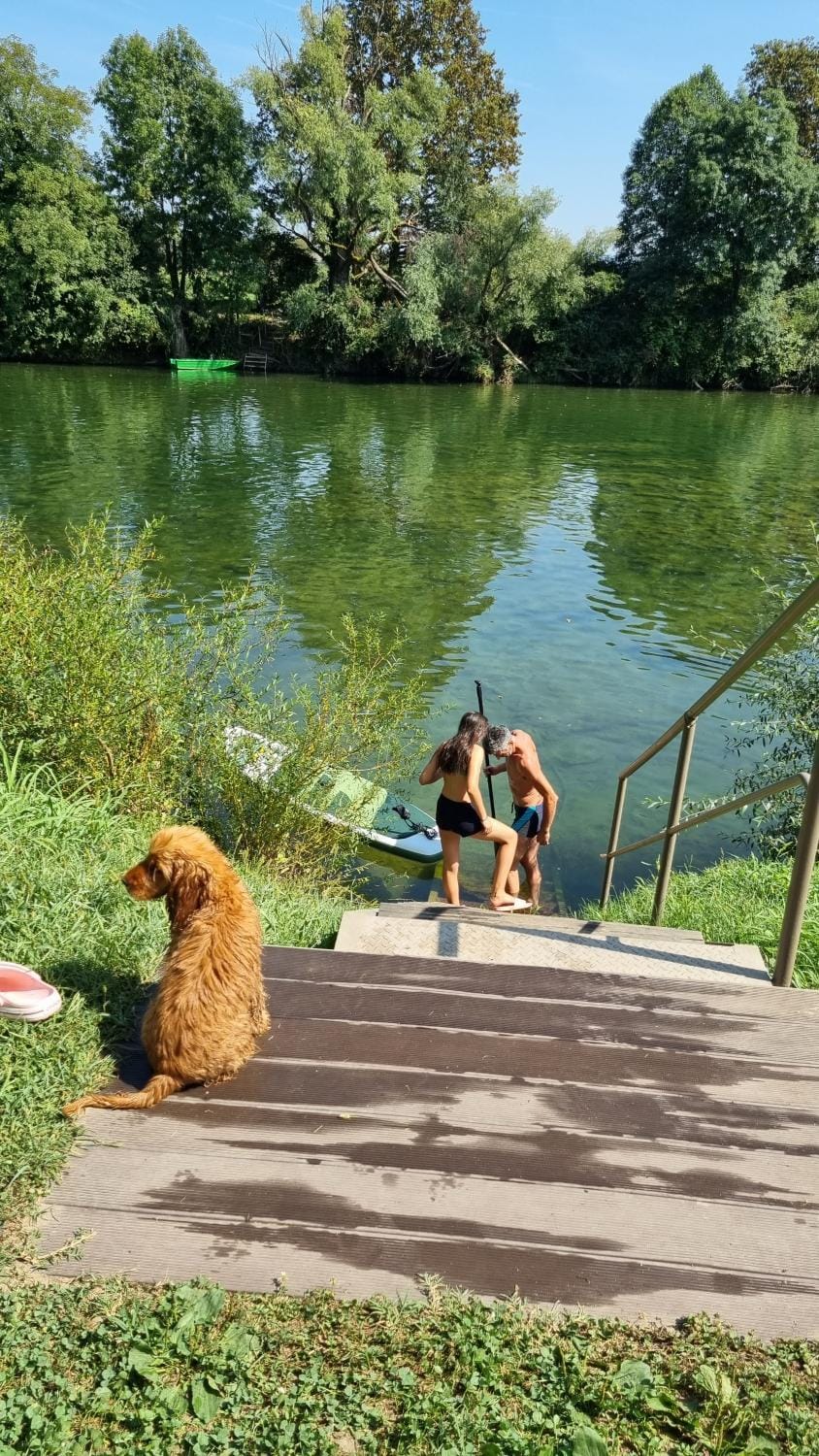 Natural landscape, Pets, River view