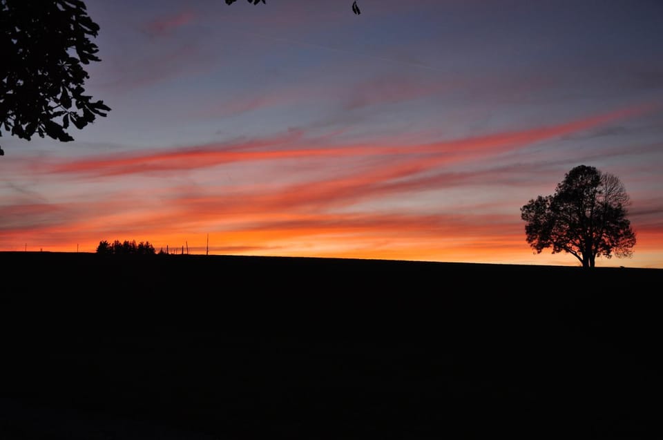 View (from property/room), Sunset