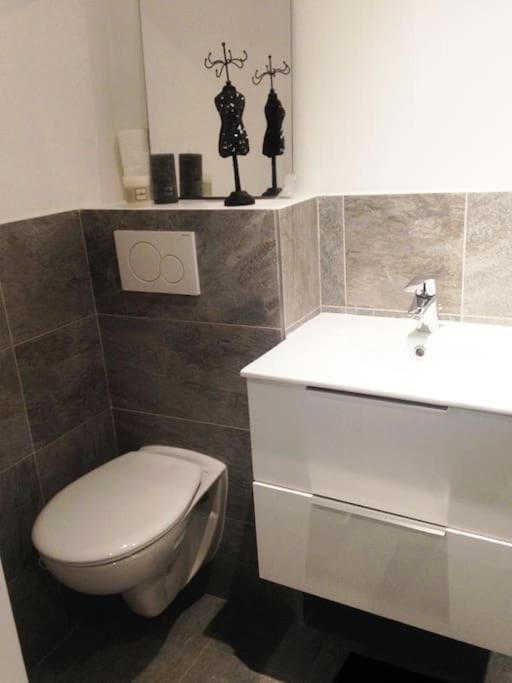 Studio confort la plume Apartment in Grand Est