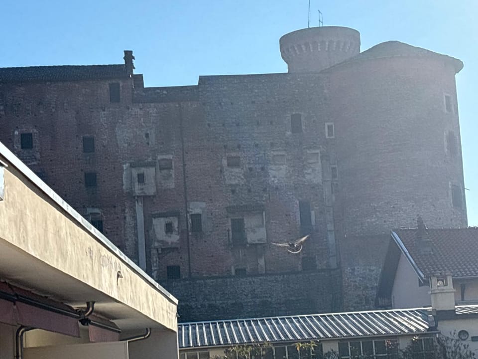 View (from property/room)