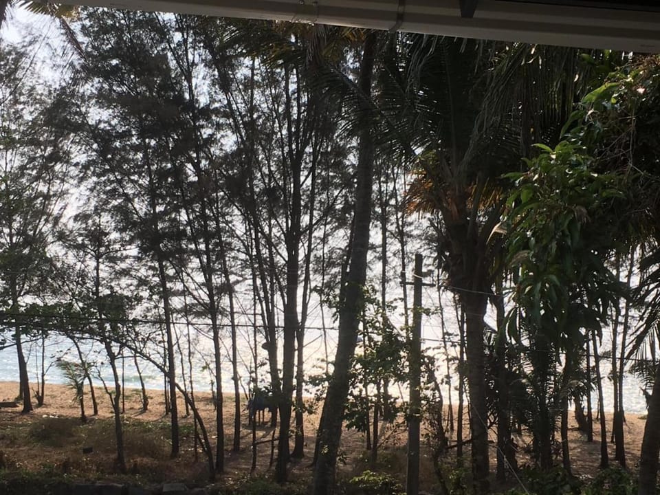 Natural landscape, Beach, Sea view