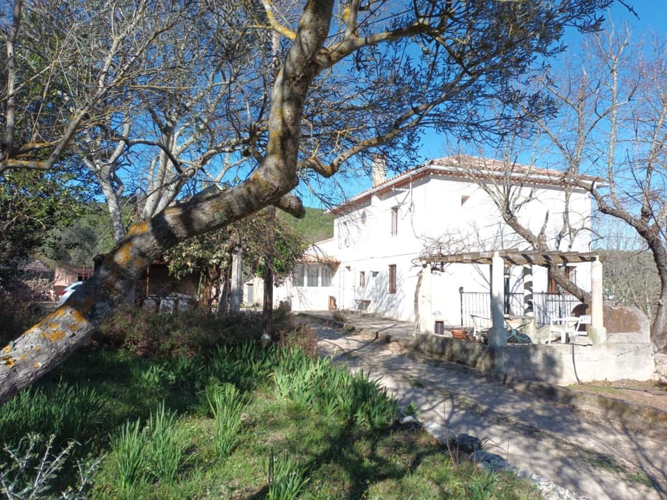 Gîte Zen Apartment in French Riviera