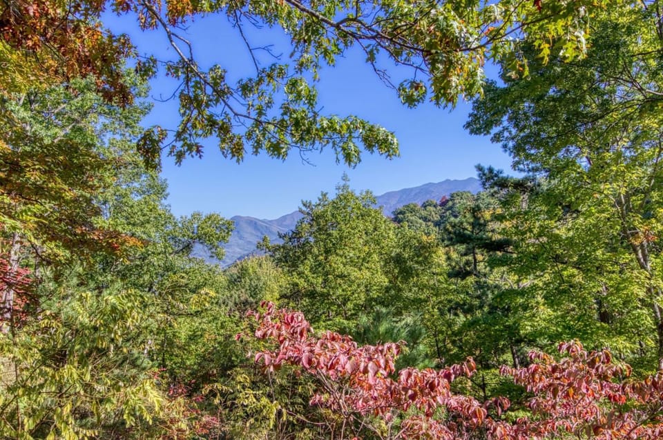 Natural landscape