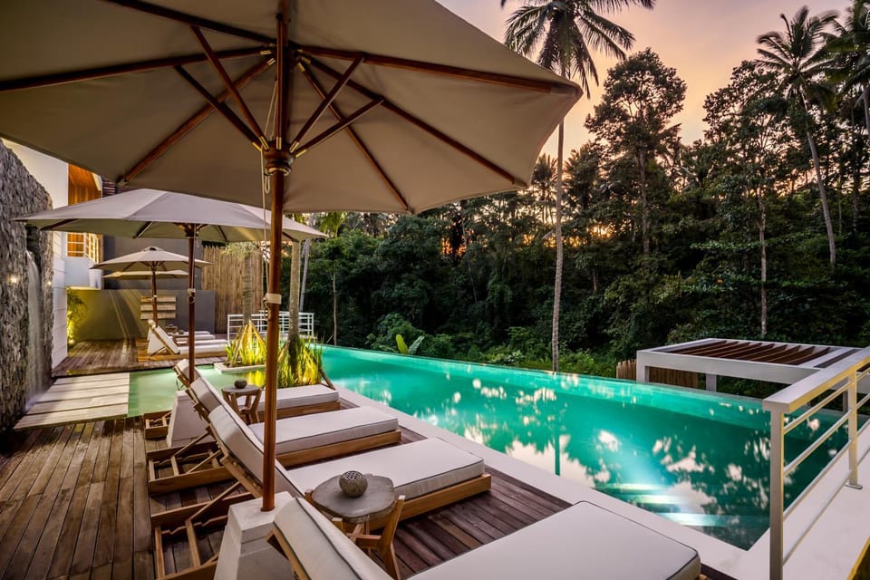 Natural landscape, View (from property/room), Pool view, Swimming pool, sunbed