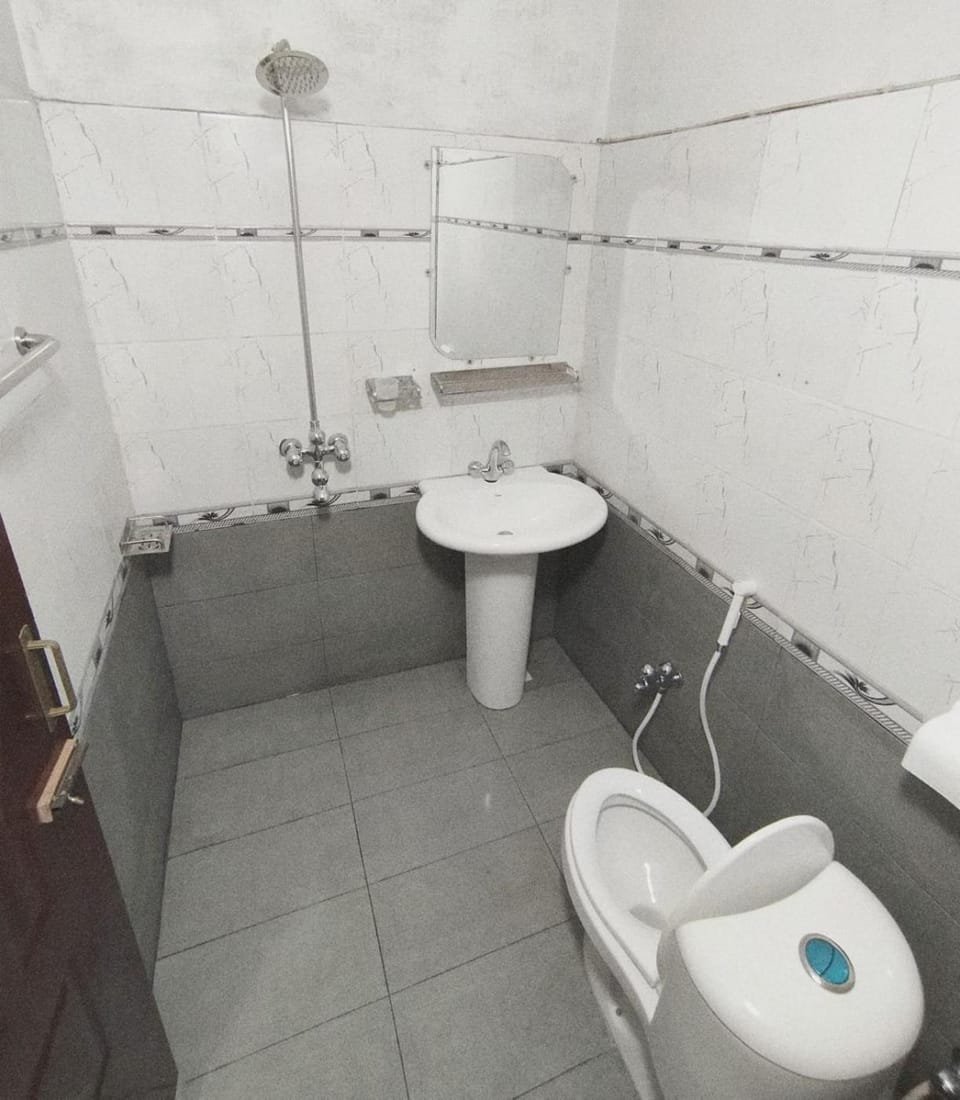 Shower, Toilet, Bathroom, bidet