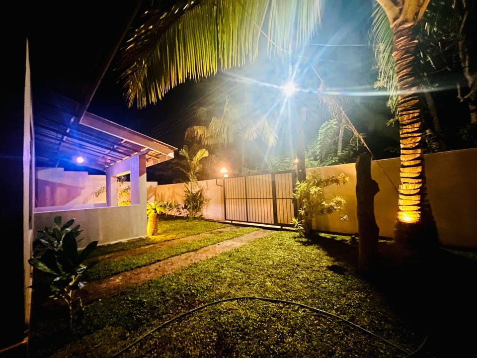 Night, Garden, Garden view