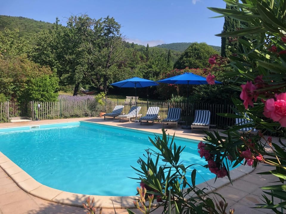 Day, Garden, Pool view, Swimming pool, sunbed