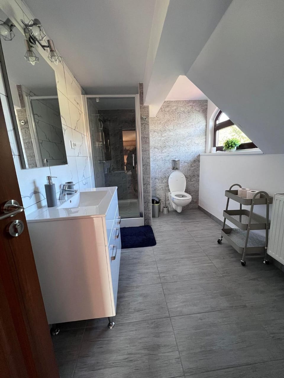 Shower, Toilet