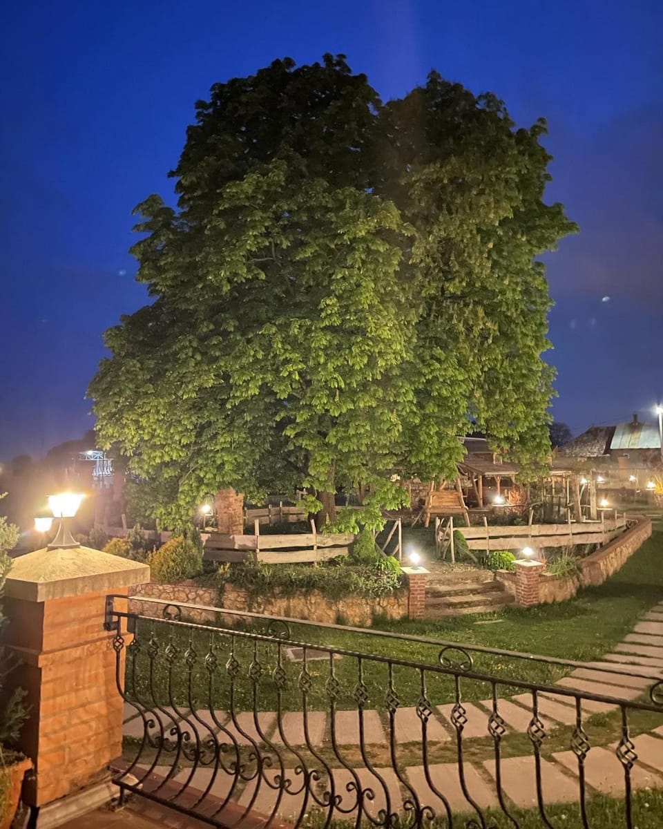 Kastély gróf Zichy Bed and Breakfast in Slovakia
