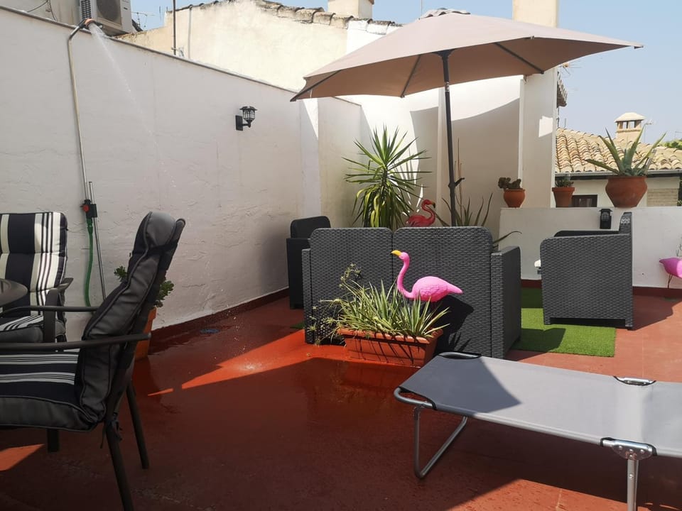Shower, Balcony/Terrace