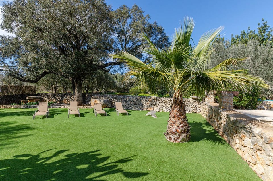 Patio, Garden, Garden view