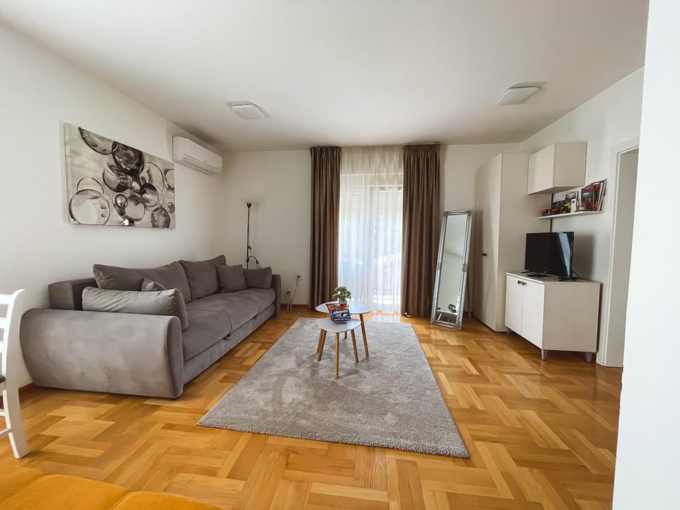 Apartmani TEO Apartment in Serbia