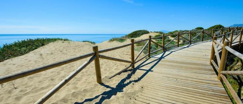 Beach