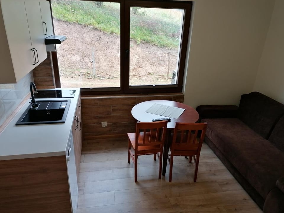 Kitchen or kitchenette, Living room, Seating area, minibar, stove