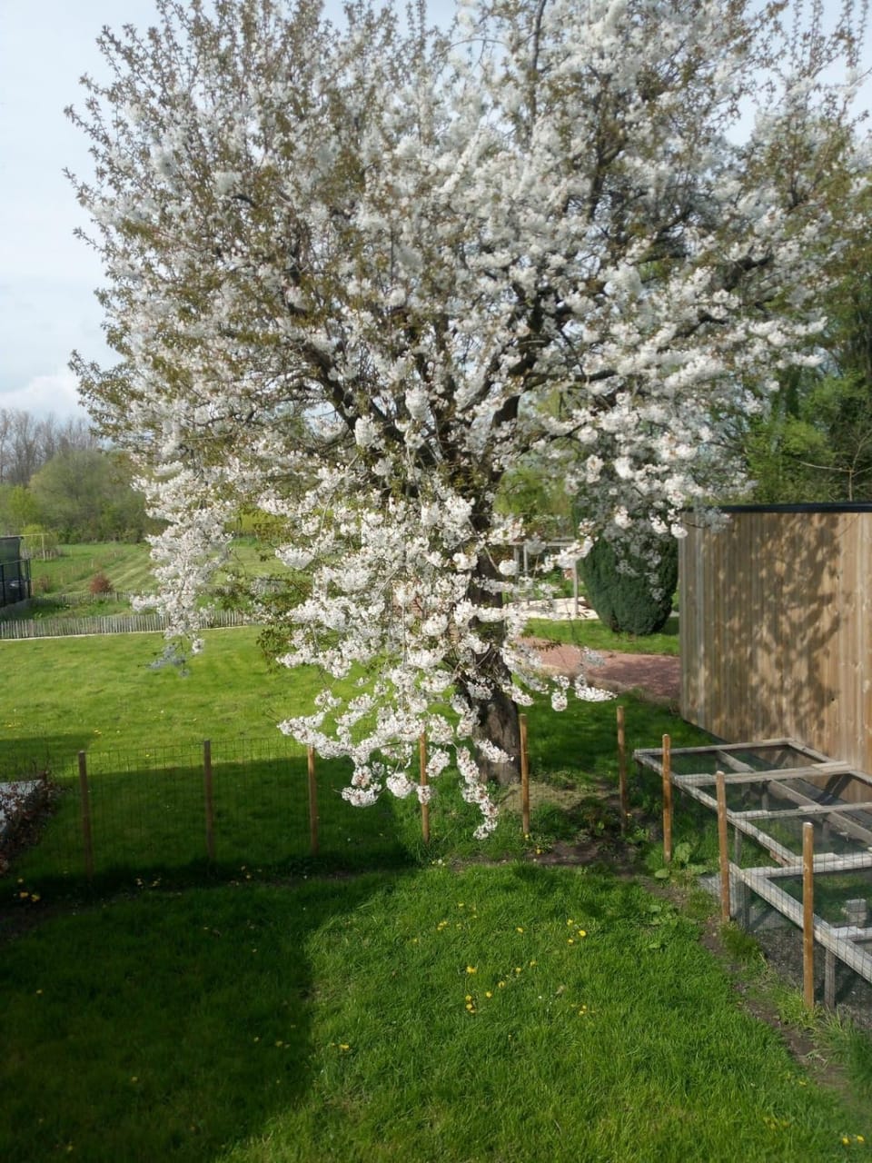 Spring, View (from property/room), Garden view