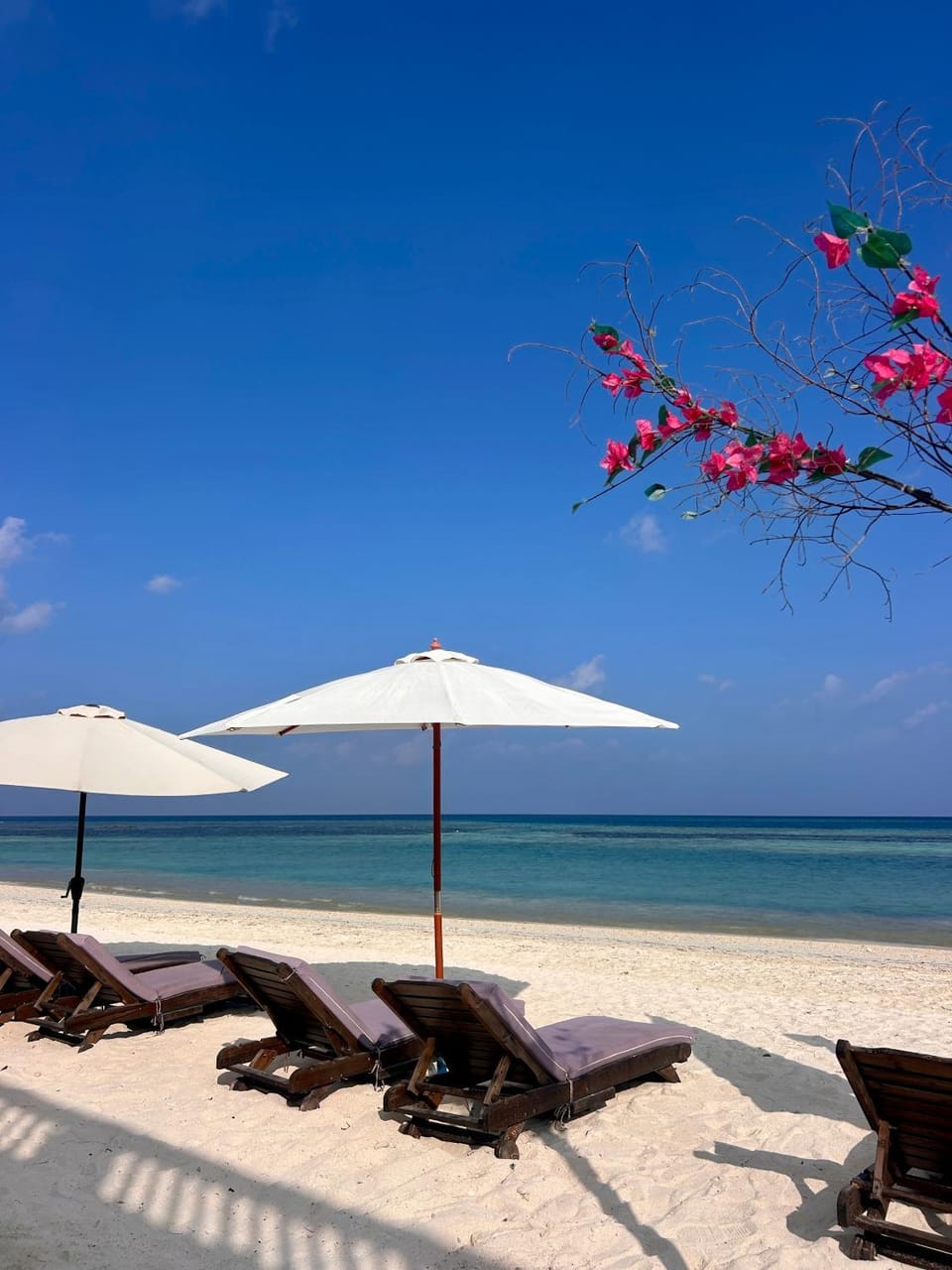 FUNPLACE BEACH Bed and Breakfast in Maldives