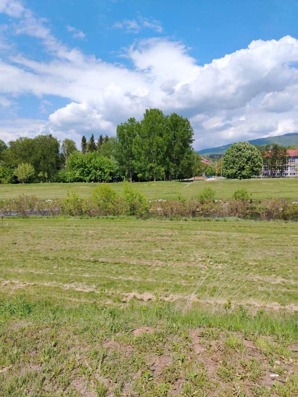 Apartman Branković Pirot-Zapadni Kej 58 Apartment in Serbia