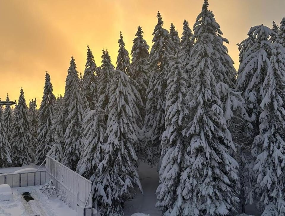 Natural landscape, Winter, View (from property/room)