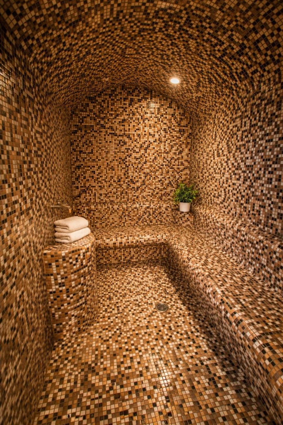 Steam room, Spa and wellness centre/facilities