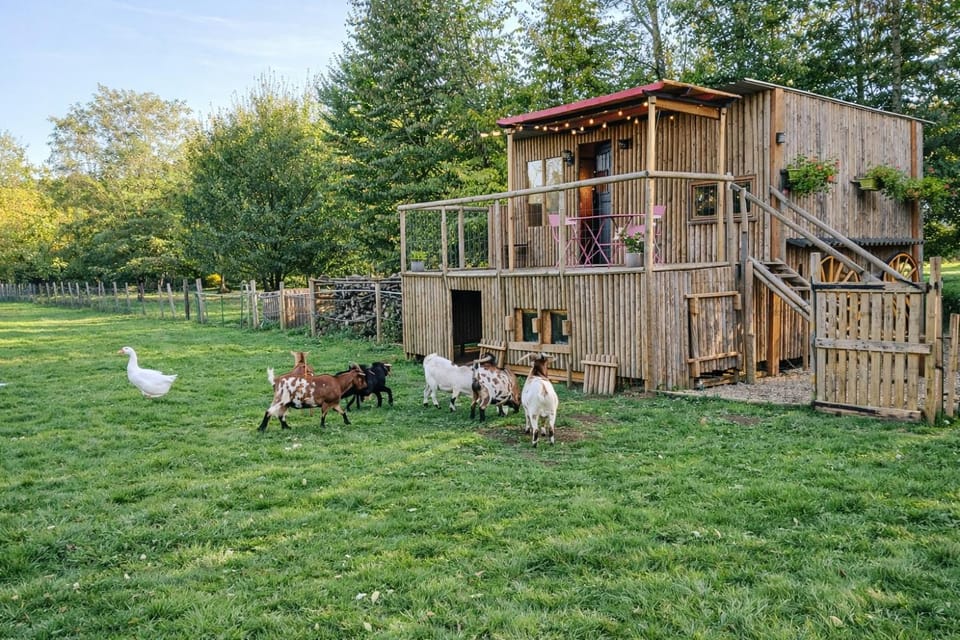 Le Cabanon Chalet in Centre-Val de Loire