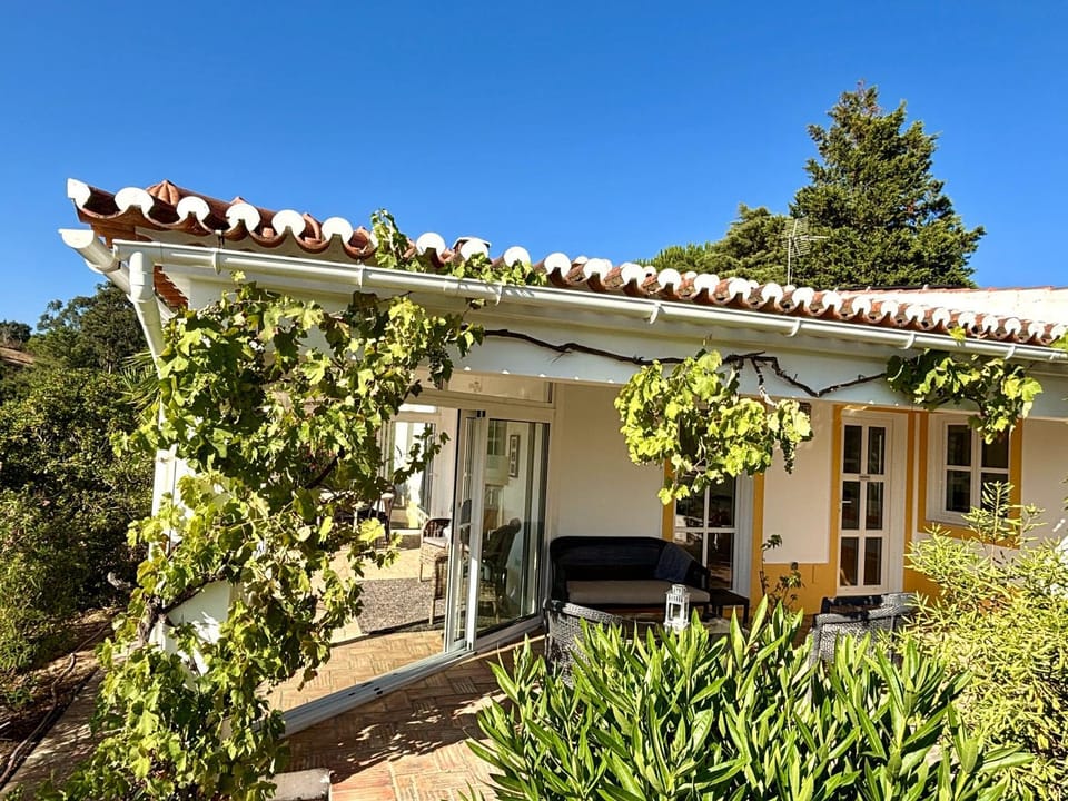 Property building, Garden, Balcony/Terrace