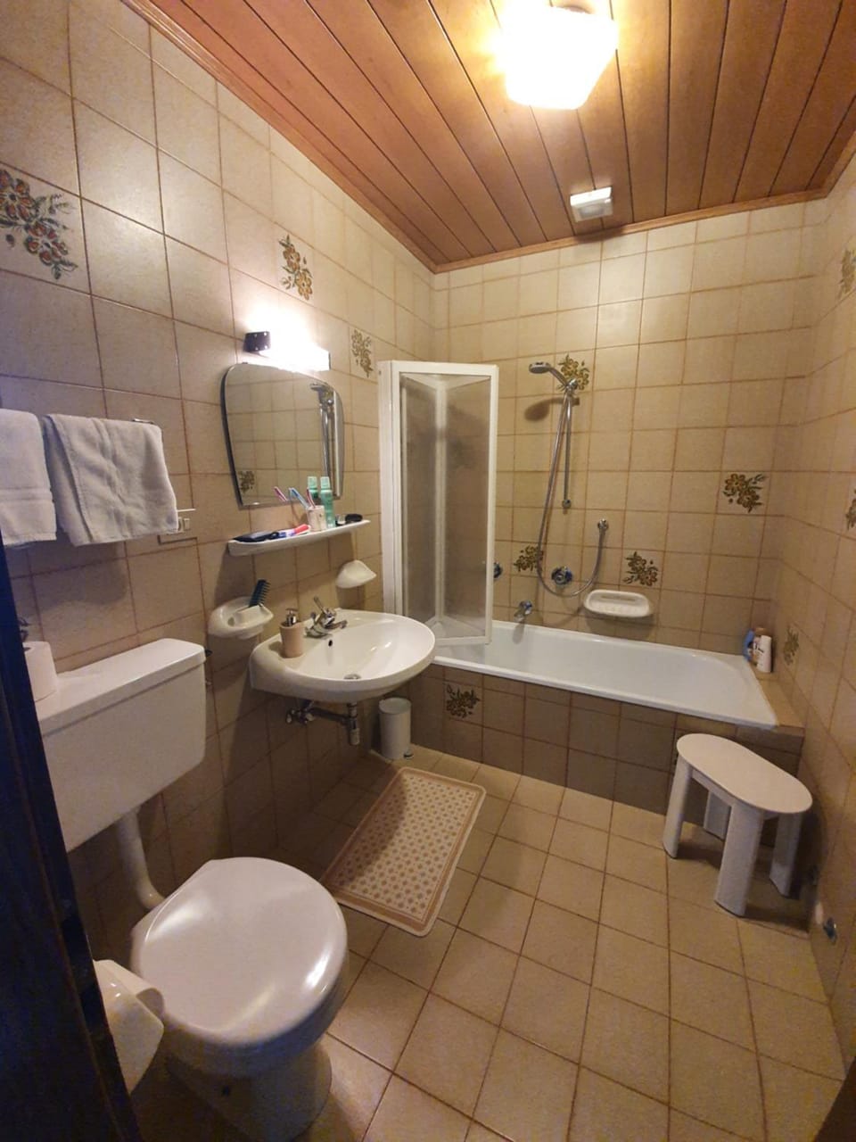 Shower, Toilet, Bathroom, Bath, towels