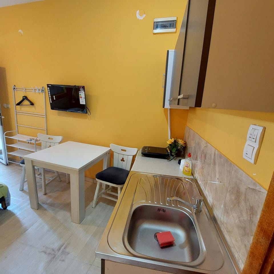 Soba Lara Apartment in Serbia